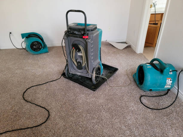 Best Flooded house restoration  in Chandler, TX