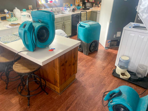 Best Water damage restoration experts  in Chandler, TX