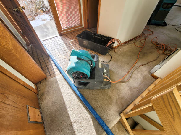 Best 24/7 water damage repair  in Chandler, TX