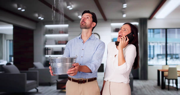 Best Flood damage cleanup  in Chandler, TX